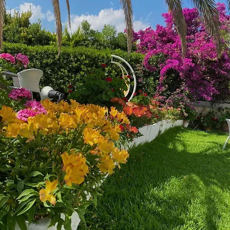 Meliton 3* Porto Koufo